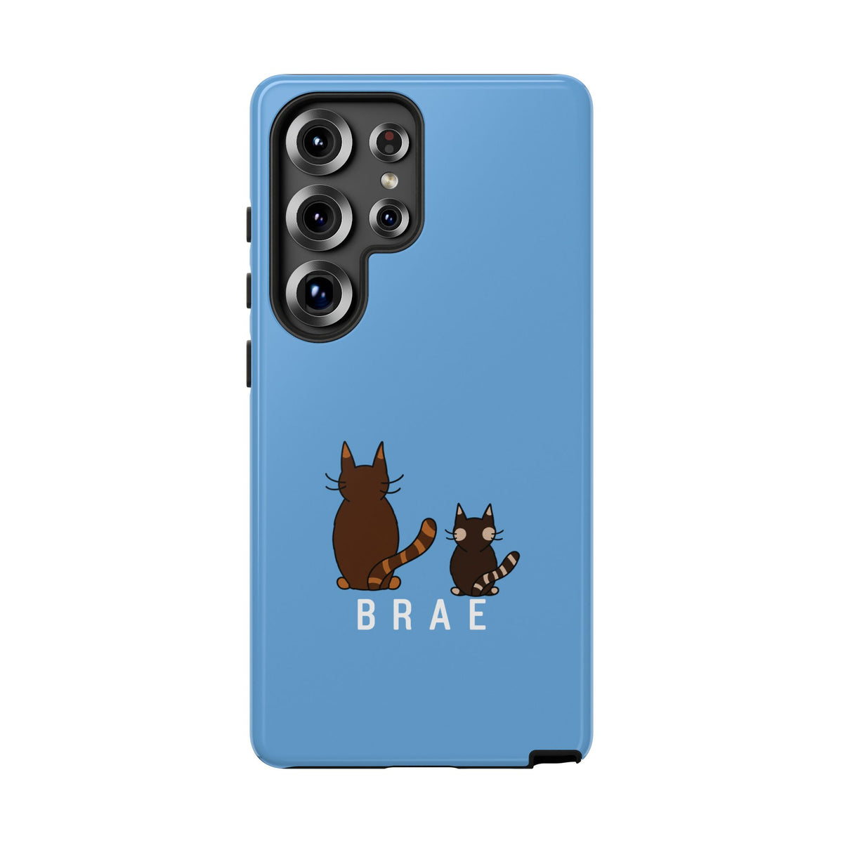 chill cats