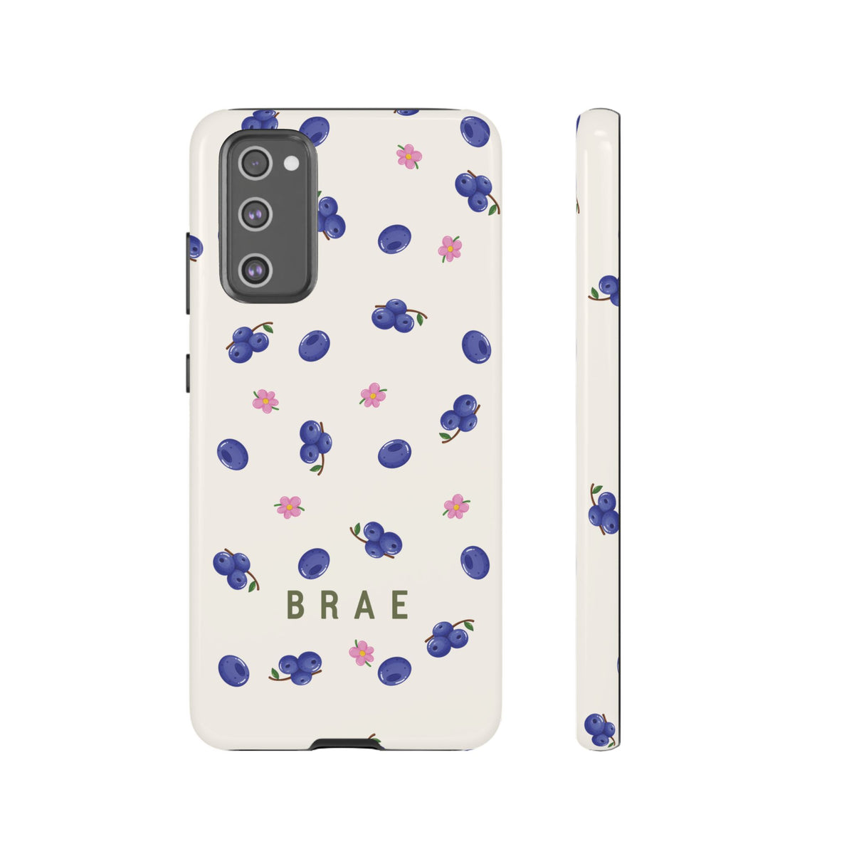 Blueberries and Leaves