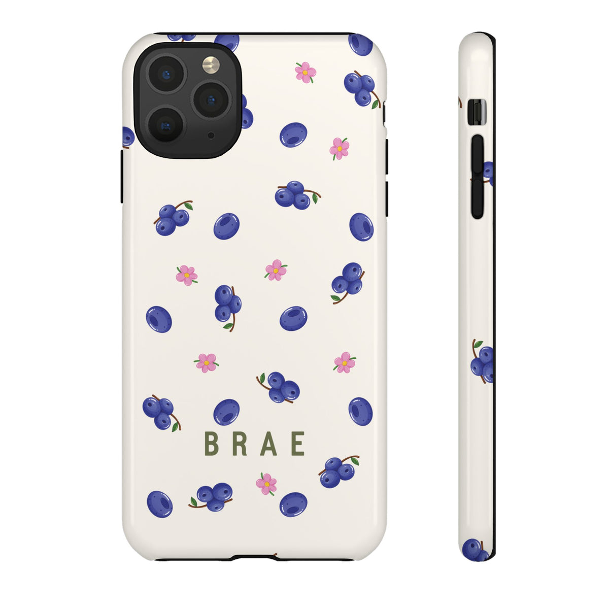 Blueberries and Leaves