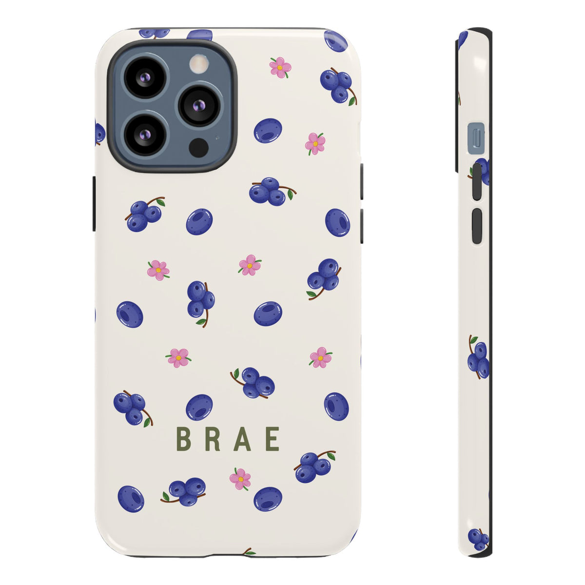 Blueberries and Leaves