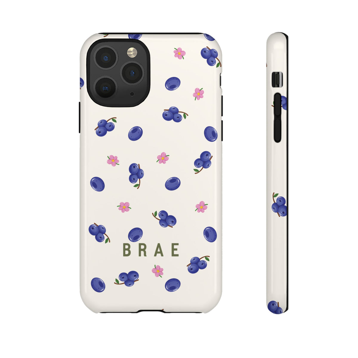 Blueberries and Leaves