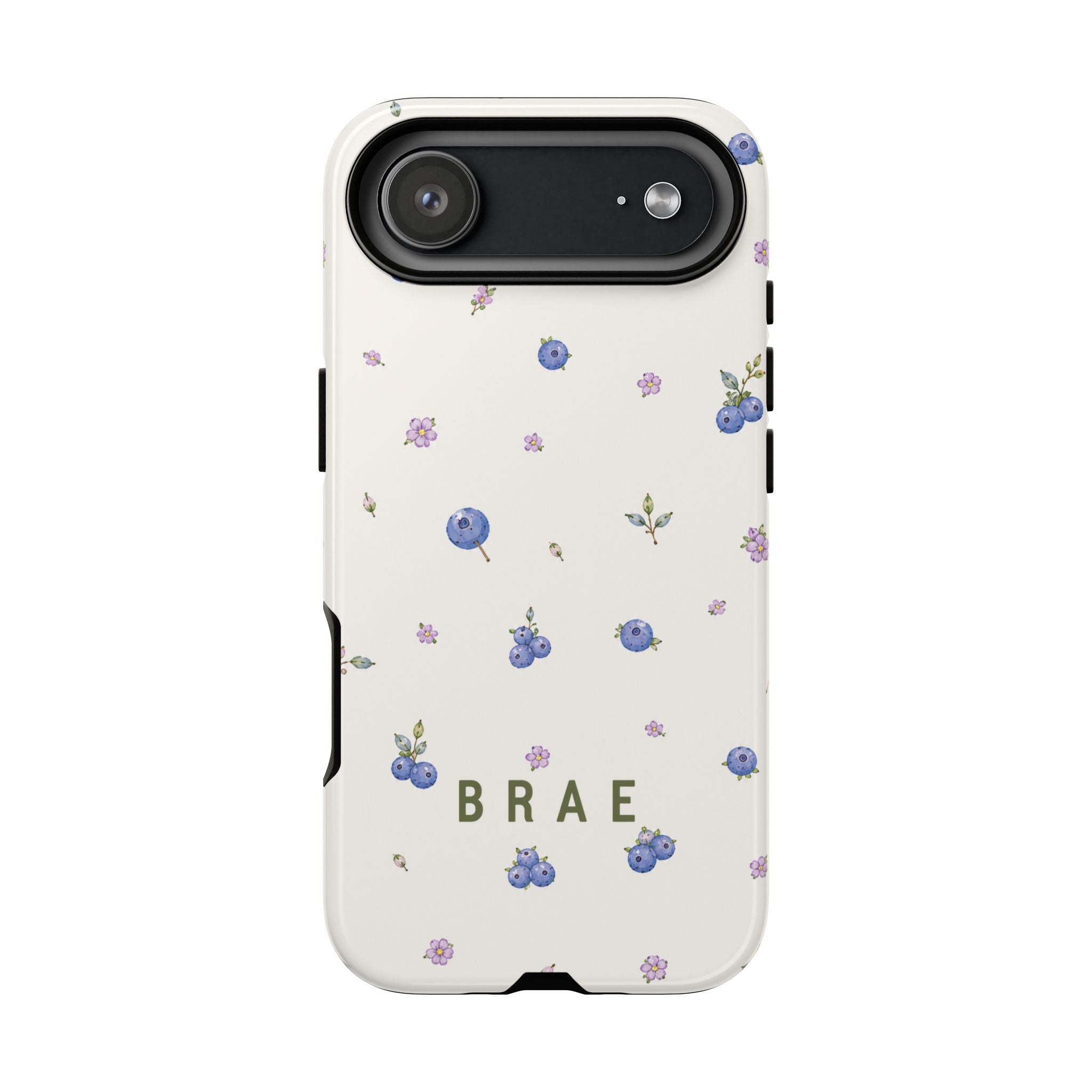 Blueberries and Leaves