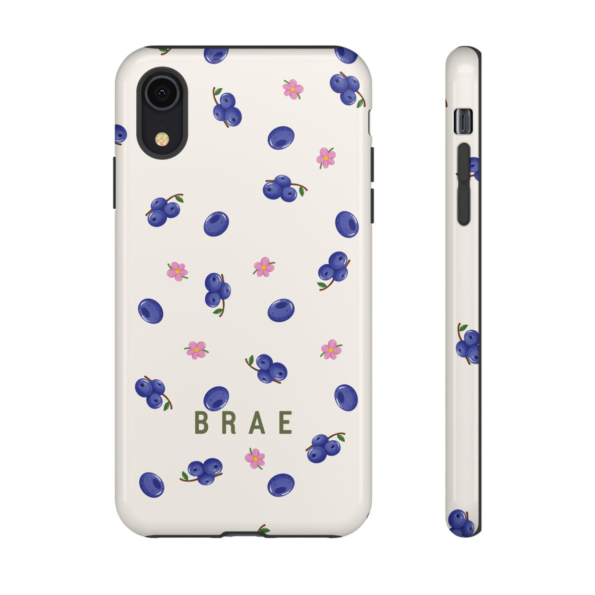 Blueberries and Leaves